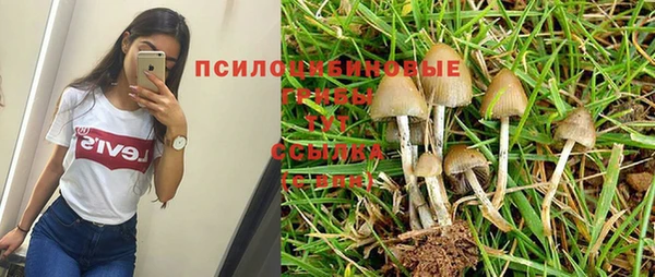 mix Алексин